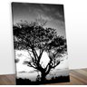 Quadro Decorativo Àrvore Pb Midiapoparte 75x100cm para Salas, Escritórios e Escritórios - 3