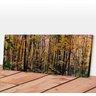 Quadro Panorâmico Arboreal Forest 100x40 Midiapoparte para Salas, Escritórios - 1