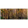 Quadro Panorâmico Arboreal Forest 100x40 Midiapoparte para Salas, Escritórios - 3