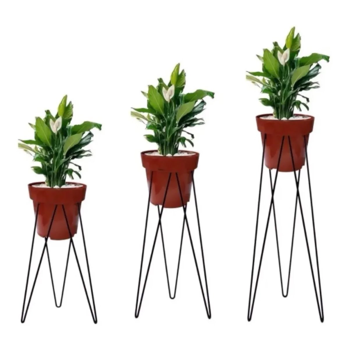 Kit 3 Tripés Para Vasos Planta Jardinagem Pmg Aramado Ferro - 1