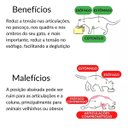Ver imagem 6 de Comedouro Bebedouro Gatos e Pet Alto Elevado em Plástico:azul