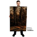 Ver imagem 2 de Kit Quadro Decorativo 3 Telas Canvas As Arvores sobre a Luz do Sol Tacolado Borda Infinita 80 X 120c