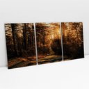 Ver imagem 1 de Kit Quadro Decorativo 3 Telas Canvas As Arvores sobre a Luz do Sol Tacolado Borda Infinita 80 X 120c