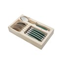 Ver imagem 1 de Conjunto 6 Colheres Laguiole Em Bandeja De Madeira Verde