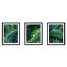 Quadro decor délicat preto 68x126 folhas tropicais mod 107 - 1