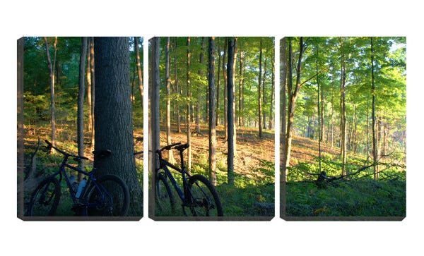 Quadro Decorativo 80x140 bicicletas na mata - 1