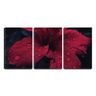 Quadro Decorativo 80x140 pingos d’água na flor vermelha - 1
