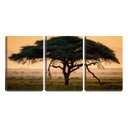 Ver imagem 1 de Quadro Decorativo 80x140 copa de árvore e galhos secos