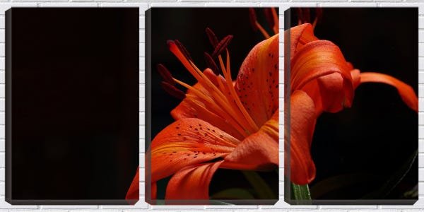 Quadro Decorativo 80x140 flor vermelha fundo pb - 1