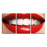 Quadro Decorativo 68x126 sorriso vermelho dentista - 2