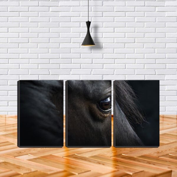 Quadro Decorativo 68x126 olho negro de cavalo - 1