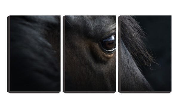 Quadro Decorativo 68x126 olho negro de cavalo - 2