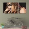 Quadro Decorativo 68x126 vocalista aerosmith - 2