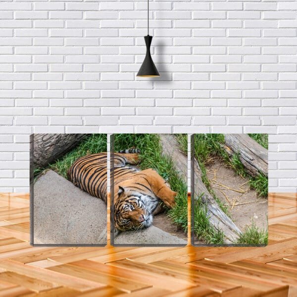Quadro Decorativo 68x126 tigre deitado - 2