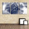 Quadro Decorativo 55x110 pêlos de gato animal - 2