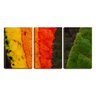 Quadro Decorativo 55x110 folhas nas estações - 1