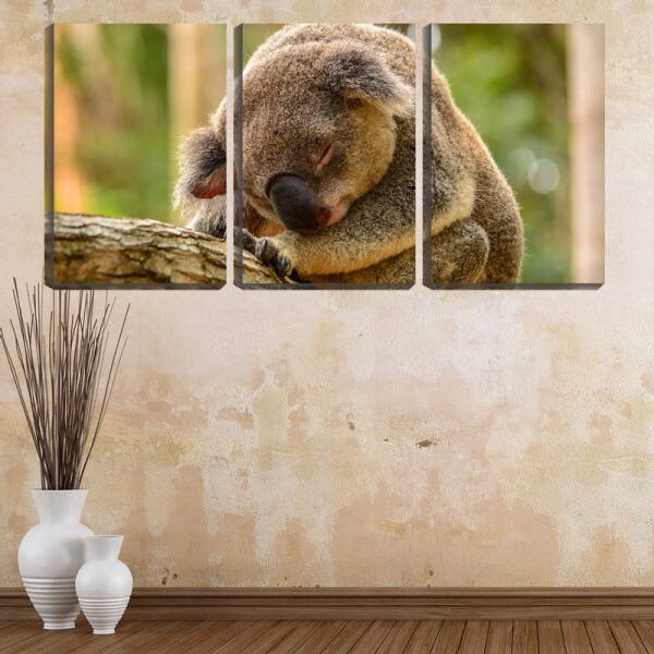Quadro Decorativo 55x110 coala tirando soneca - 2