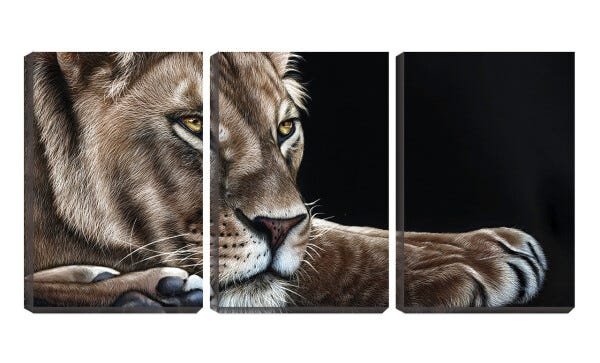 Quadro Decorativo 55x110 leoa deitada arte fundo preto - 1