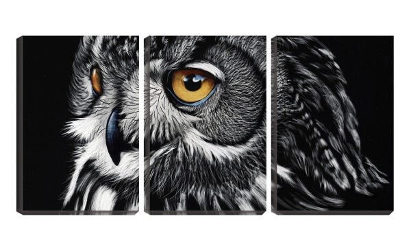 Quadro Decorativo 55x110 olhar de coruja fundo preto - 1