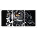Ver imagem 1 de Quadro Decorativo 55x110 olhar de coruja fundo preto