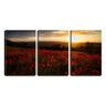 Quadro Decorativo 55x110 campo de flores sob pôr do sol - 1