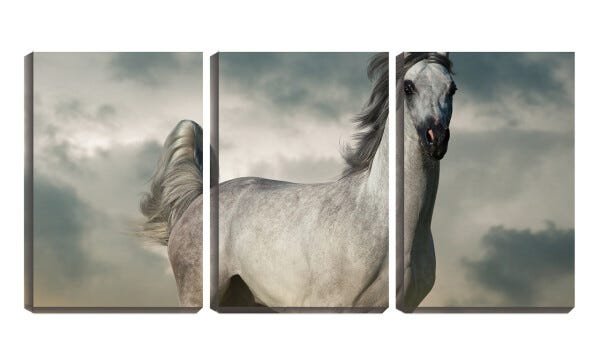 Quadro Decorativo 45x96 cavalo branco curioso - 1