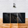 Quadro Decorativo 45x96 olho negro de cavalo - 1