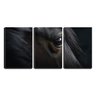 Quadro Decorativo 45x96 olho negro de cavalo - 2