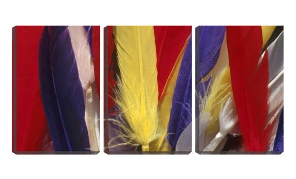 Quadro Decorativo 45x96 penas coloridas - 1