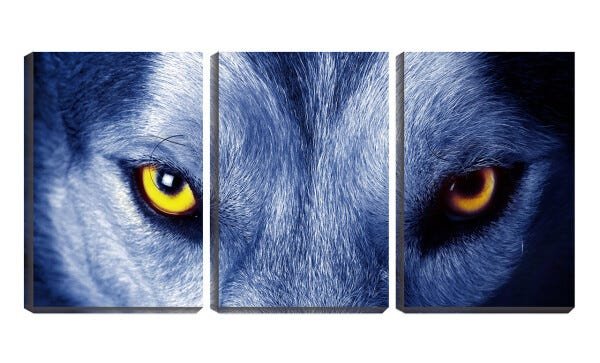 Quadro Decorativo 45x96 olhar de lobo feroz - 1