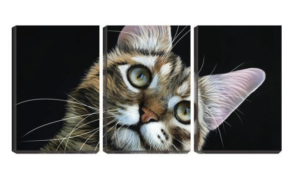 Quadro Decorativo 45x96 gatinho de orelhas compridas arte - 1