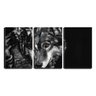 Quadro Decorativo 45x96 lobo selvagem sobre fundo preto - 1