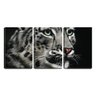 Quadro Decorativo 45x96 felino sobre fundo preto - 1