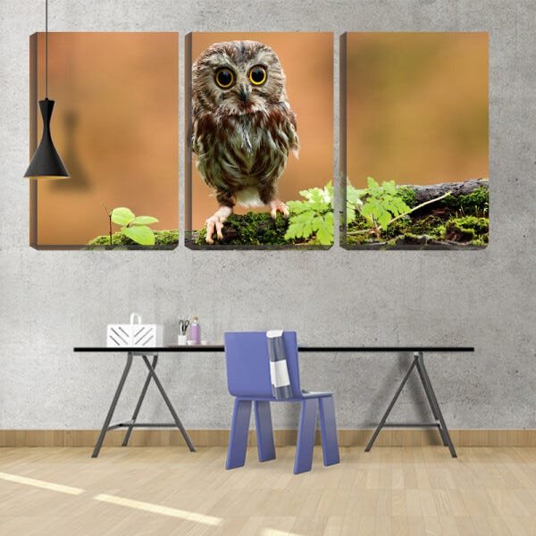 Quadro Decorativo 30x66 coruja de olhos arregalados - 2