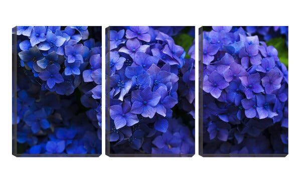 Quadro Decorativo 30x66 flores pequenas azuis - 2