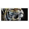 Quadro Decorativo 30x66 cabeça colorida de tigre desenho - 1