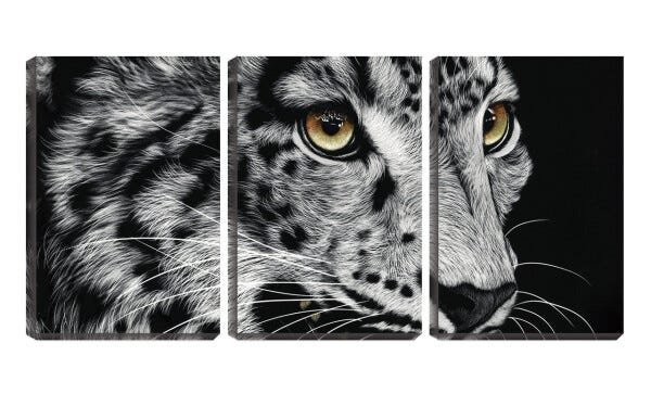 Quadro Decorativo 30x66 felino olhar sobre fundo preto - 1