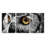 Quadro Decorativo 30x66 olhar de coruja desenho arte - 1