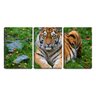 Quadro Decorativo 80x140 tigre olhando para frente - 1