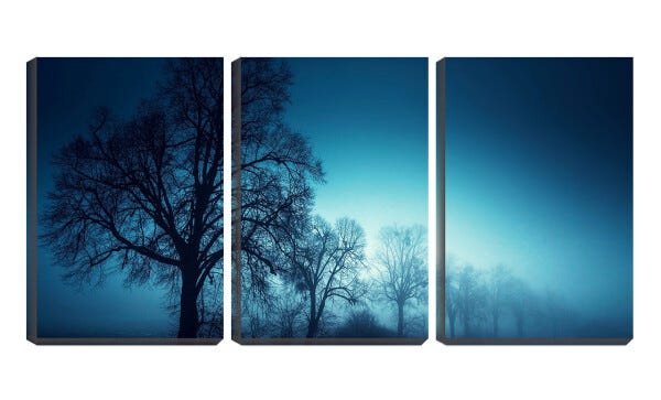 Quadro Decorativo 55x110 galhos secos sob a bruma - 1