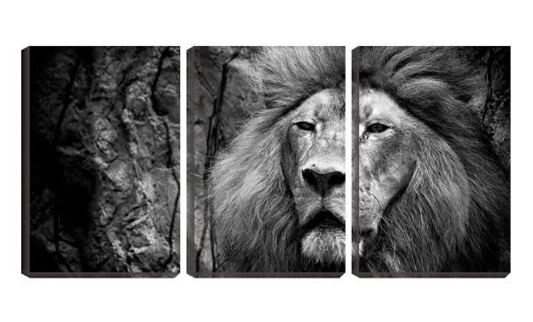 Quadro Decorativo 45x96 leão pb juba grande - 1