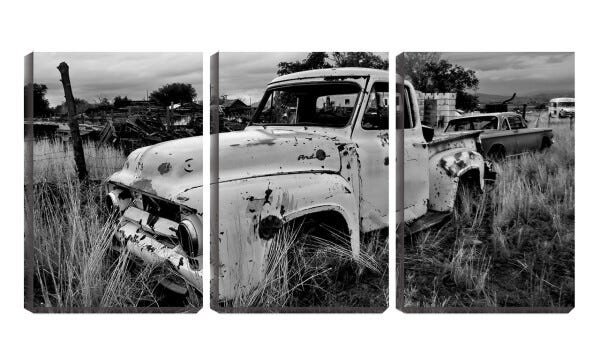 Quadro Decorativo 45x96 carro velho no mato - 1