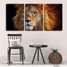 Quadro Decorativo 45x96 juba ao fundo preto - 1