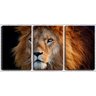 Quadro Decorativo 45x96 juba ao fundo preto - 2