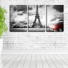 Quadro Decorativo 30x66 torre Eiffel pb e carro vermelho - 1