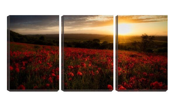 Quadro Decorativo 30x66 campo de flores sob pôr do sol - 1