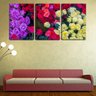 Quadro Decorativo 30x66 rosas coloridas - 2