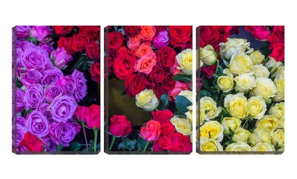 Quadro Decorativo 30x66 rosas coloridas - 1