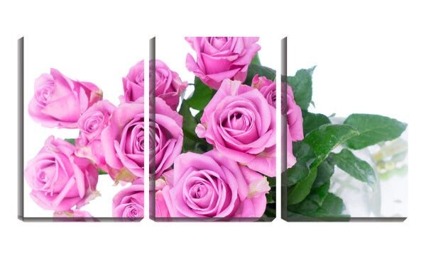 Quadro Decorativo 30x66 rosas fundo branco - 1