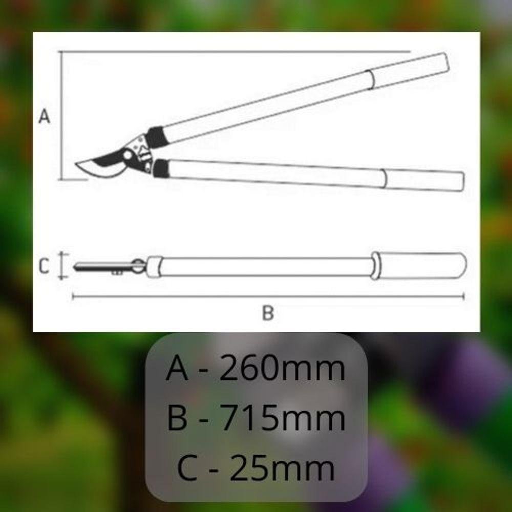 Tesoura P/cortar Galhos 700mm - Palisad - 3